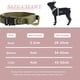thumbnail image 3 of Collar táctico para perros, collar de entrenamiento ajustable de nailon para perros medianos y grandes., 3 of 5