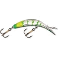 thumbnail image 4 of Blade-Tech Kwikfish Xtreme, Non-Rattle, 4 of 5