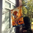 thumbnail image 2 of Carolines Treasures DAC1077CHF 40 x 28 in. Vizsla Fall House Flag, 2 of 5