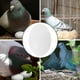 thumbnail image 5 of 30 huevos de paloma de plástico sólido para engañar a las aves y evitar que pongan huevos., 5 of 6