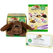 Pound Puppies Newborns Plush - Zany - Dark Brown, Eco Friendly