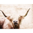 thumbnail image 3 of Villa, Milli 24x19 Black Modern Framed Museum Art Print Titled - The Bull Look, 3 of 5