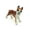 Looking Left Brown French Bulldog, variant on Handmade Miniatures Ceramic Looking Straight Black French Bulldog Squirrel Figurine Animals Decor/Animal Collection