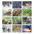SGJHEQ Becorns 2025 Wall Calendar The Art of David M Bird 11.4" x 8.2 Becorns Calendar 2025 Uk