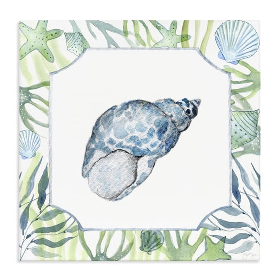 Stupell Industries Contemporary Spotted Cowrie with Seaweed Canvas Art, 17 x 17, by Janet Tava