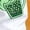 I-Green, variant on St Patricks Day Shirt Men Irish Shamrock Button Down Long Sleeve Shirt Saint Patrick'S Clover Graphic Holiday Outfit