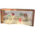 thumbnail image 1 of Caja de sombra rectangular Caja de almacenamiento de exhibición de marco de madera acrílica, 10X5, Exhibición de postales de escritorio Flores prensadas Exhibición de hojas secas Decoración de mesa, 1 of 5