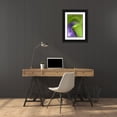 thumbnail image 3 of Rotenberg, Nancy 23x32 Black Ornate Wood Framed with Double Matting Museum Art Print Titled - Of Jack-in-the-Pulpit with violet background, 3 of 4