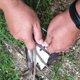 thumbnail image 5 of Alicates Luya para control de peces Yeacher corte de hilo de pescar de acero inoxidable, 5 of 7