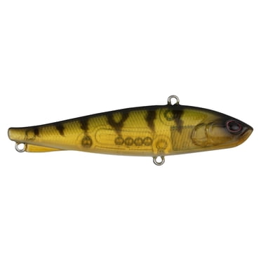 Berkley Ripfish, 9, Perch