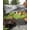Black, variant on Outdoor Sun Shade Sail 14'x18', Blue Mountain Patio Beach Shade Canopy Cloth Waterproof, Misty Forest Nature Woodland Pine Tree Landscape TearResistant & UV Protection Sun Sail for Backyard Garden