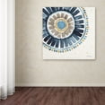 thumbnail image 3 of Trademark Fine Art "Indigold XVII" Canvas Art by Lisa Audit, 3 of 3