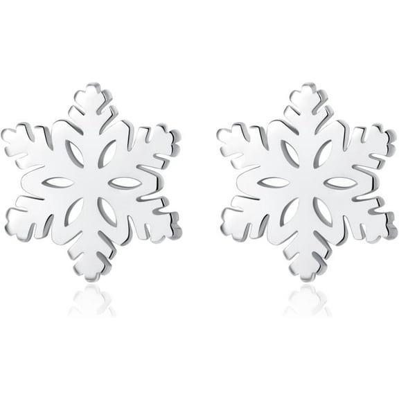 Solid 925 Sterling Silver Snowflake Stud Earrings for Women Teens Winter Snow Stud Earrings Christmas