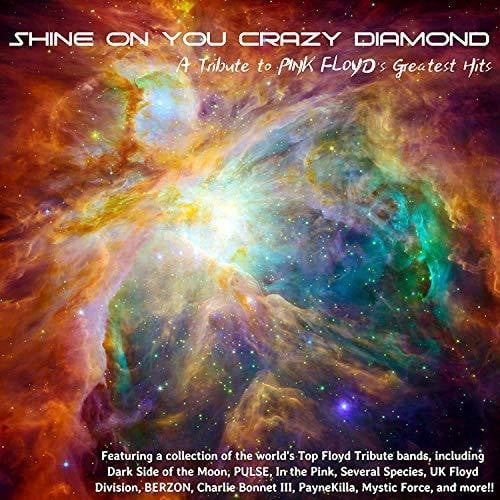 Shine On You Crazy Diamond Backing