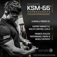 thumbnail image 5 of Vitadapt Complete Sports Multivitamin for Men - 24 Vitamins, KSM-66 Ashwagandha and Minerals for Athletes - Mens Multivitamin Daily Gym Supplements (90 Capsules), 5 of 8