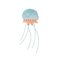 thumbnail image 2 of Estilo marino BLESIY Medusas Decoración Colgante Acuario Tema Colgante Decoración de pared Escultura de pared Arte para galería Entrada Comedor Hogar Azul claro, 2 of 8