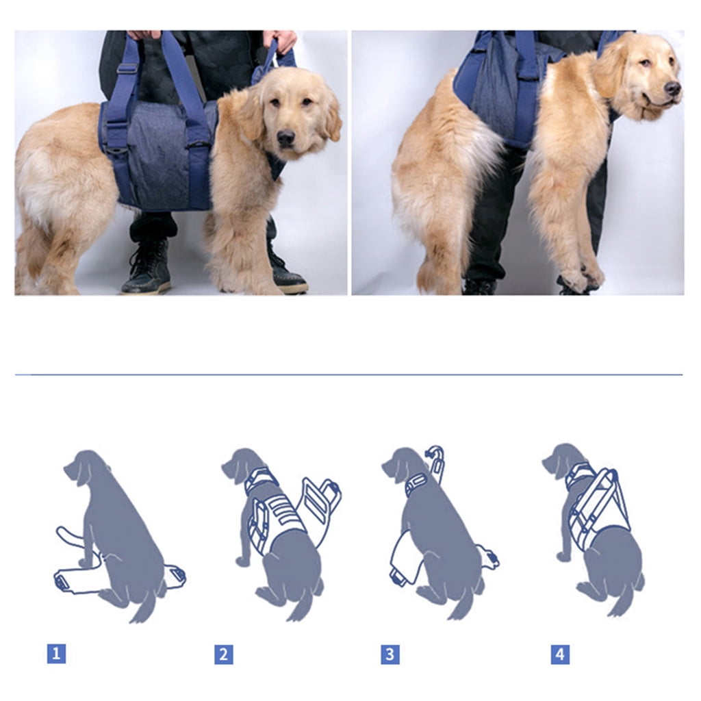 Lifting Dog Harness for Small Medium Large Dogs No Pull Assist Harness Adjustable Assist Training Supplies