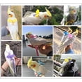 thumbnail image 2 of GYTY Bird Harness Parrot Leash -Adjustable Outdoor Flying Kit for Parrot Budgie Lovebird Cockatiel Macaw Parakeet (Purple,M), 2 of 6