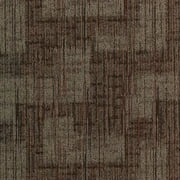 Samples Odell 24" x 24" (1SF/piece) carpet tile in FUNCTIONAL SPACE