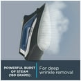thumbnail image 5 of Rowenta Performance Steam Iron, Effortless Vertical Steaming, Blue, 5 of 8