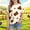 A184 Multicolor, variant on Xdegoge Toddler Kids Girls Summer Tops Short Sleeve Cow Pattern T-Shirts Casual Crew Neck Graphic Tee Fun Animal Print Everyday Wear, Size 4-5T
