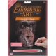 thumbnail image 1 of cepillo real Royal Brush COPRFL-32, 1 of 1