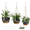 Black, variant on 10 inch Plant Pot Hanging Planters Self Watering Pots for Indoor Plants, 3 Pack Plastic Hanging Basket with Removable Tray for Home Garden Porch Balcony Patio Decor,green
