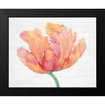 thumbnail image 2 of OToole, Tim 24x20 Black Modern Framed Museum Art Print Titled - Single Pink Bloom II, 2 of 5