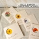 thumbnail image 3 of Paquete de Material de flores secas, tarjeta de felicitación de bendición DIY, postal de boda, vacaciones, regalo de agradecimiento Universal para estudiantes, invitaciones de fiesta, 3 of 4