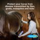 thumbnail image 2 of Repelente de Mosca para Caballo Farnam F1002782290 Endure Aerosol Protección Duradera 14 Días 443 ml Farnam F1002782290, 2 of 9