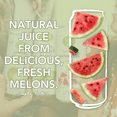 thumbnail image 2 of CoCo Joy 100% Natural Watermelon Juice | Fresh Low-Calorie Vitamins C and A | 6 Pack, 2 of 8