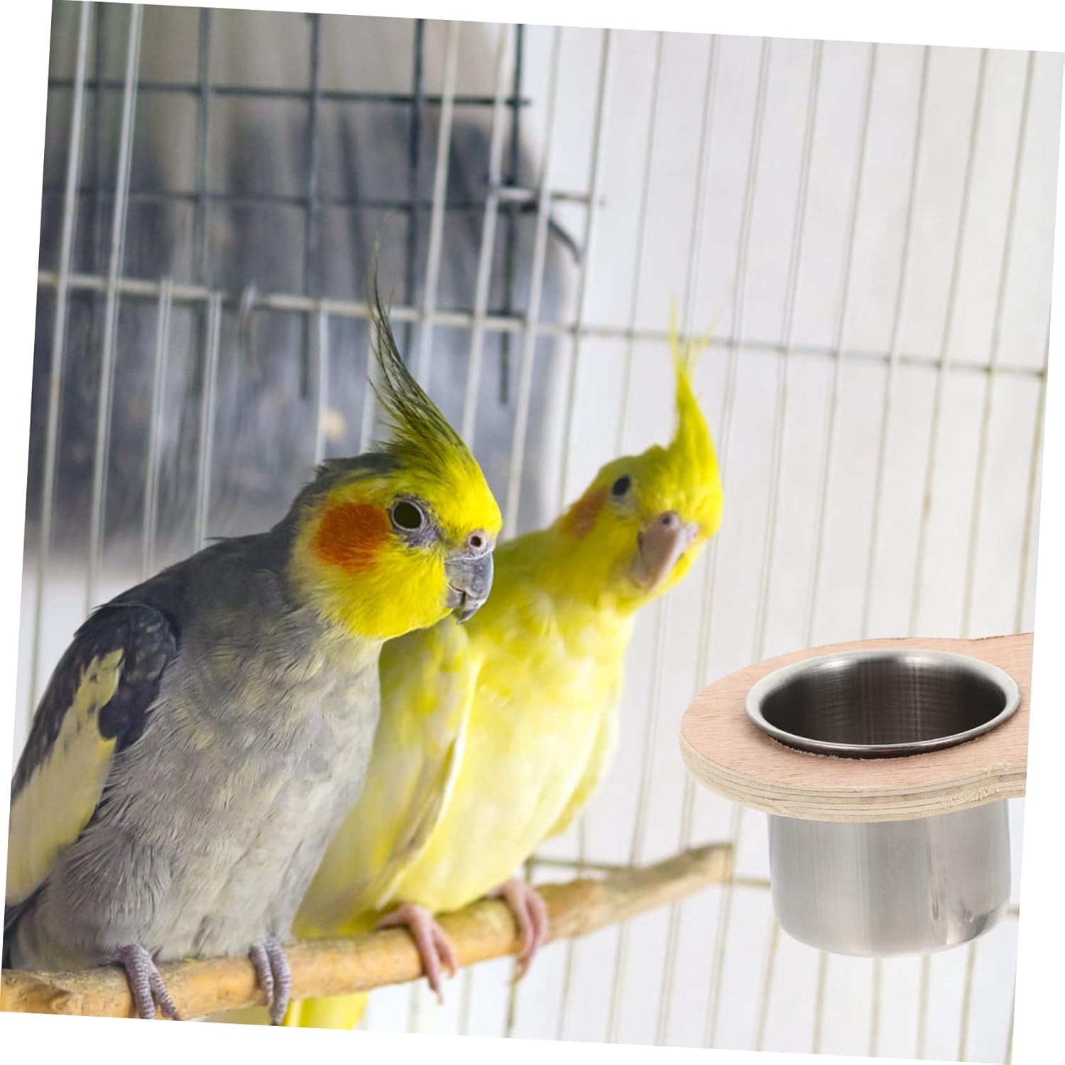 Cadorn Stainless Steel Parrot Feeder Cup - Durable Bird Feeder for Cages, Anti-Rust Pet Food Dish for Parakeets, Cockatiels, and Lovebirds