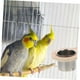 thumbnail image 5 of Comedero de Acero Inoxidable para Pájaros con Marco de Madera | Comedero Colgante y Bebedero para Loros, Cacatúas y Periquitos | Cuenco Apto para Jaulas, Apto para Uso Alimentario, 5 of 6