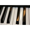 LAMINATED POSTER Keyboard Piano Keys Poster Print 24 x 36