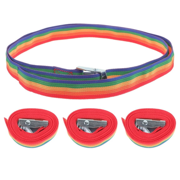SHINYPASING Adjustable Straps Ratchet Strap Buckle Colorful 4Pcs