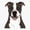 1pcs, variant on Gray & White Pit Bull Er, Phone Decal Water Bottle Stickers Car Decals, Funny Birthday Gift