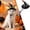 Black4, variant on Witch Cat Dog Halloween Outfit Hat with Bow, Soft Pet Clothes Hats for Cats and Small Dogs, Spandex Form-Fitting Comfort for Parties Parades Photo
