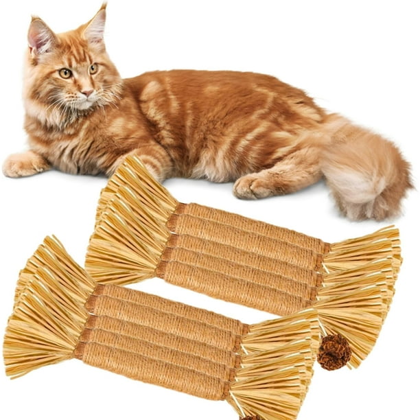 Palitos dentales Silvervine de Nylatails, Nyla Tails para gatos, palitos Silvervine para gatos, juguete masticable para gatos Nunapets, palitos masticables para gatos Silvervine Catnip, palitos