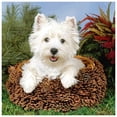 thumbnail image 2 of Cuadros Decorativos 5D taladro redondo completo diamante pintura cachorro perro diy bordado punto de cruz decoración Likrtyny embutido en tela, 2 of 9