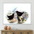 thumbnail image 2 of Designart 'Vintage Countryside Two Birds' Farmhouse Framed Canvas Wall Art Print, 2 of 5