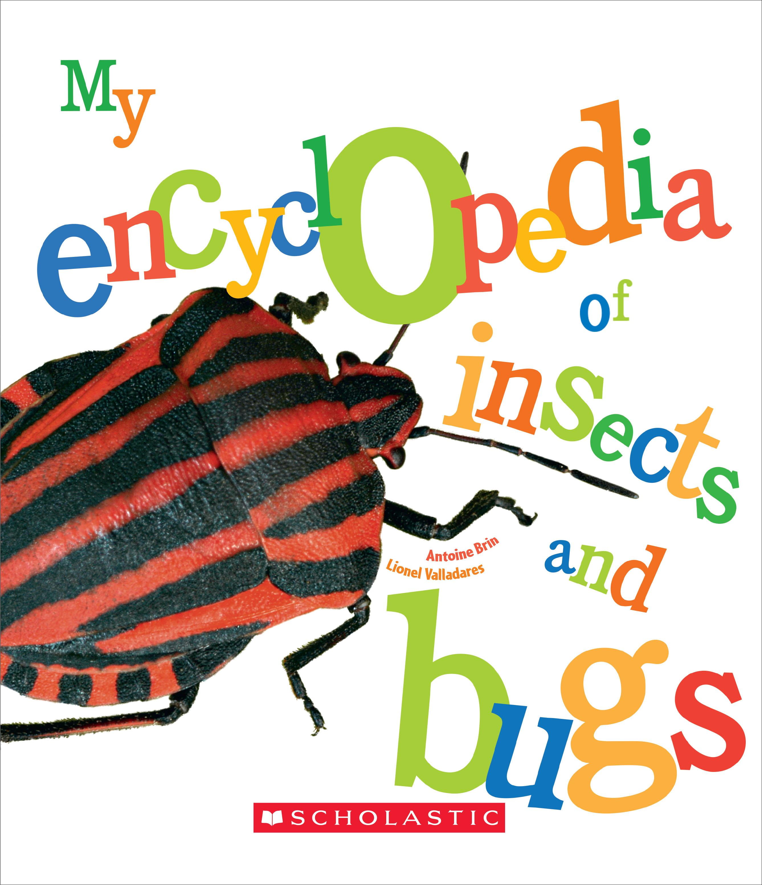 My Encyclopedia My Encyclopedia of Insects and Bugs (My Encyclopedia