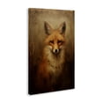 thumbnail image 4 of Stupell Industries Dark Fox Visage Animals & Insects Painting Gallery Wrapped Canvas Art Print Wall Art, 24 x 36, 4 of 8