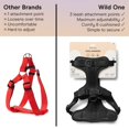 thumbnail image 6 of Wild One Dog Harness, The Original No-Pull, Pet Harness with 3 Leash Clips, Adjustable Soft Padded Vest, Comfortable, Stretchy, Size XS, Black, 6 of 7