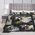 thumbnail image 4 of Wijzvio Cute Boston Terrier Dog Throw Blanket Soft Fuzzy Fleece Blanket For Couch Bed Living Room Decoration 80"X60", 4 of 9
