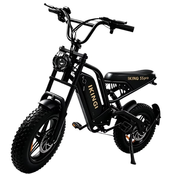 Generic Electric Bike for Adults, equipped with a 500W motor (peak 1000W), 48V 13Ah battery, 20-40KM range, 16"×4.0" fat tires, front and rear disc brakes, 7-speed gearing, steel frame, and left-side