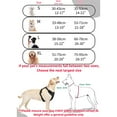 thumbnail image 3 of Pet Chest Strap Leash Set, Large Dog Nylon Retractable Dog Leash, Comfortable Chest Strap for Walking Dogs Adjustable Comfortable Soft Padded Vest Harness, 3 of 9