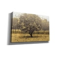 thumbnail image 2 of Epic Graffiti 'Golden Trees I' by James Wiens, Canvas Wall Art, 40"x26", 2 of 8