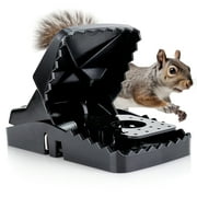 eXuby Squirrel Trap (2 pack) - Consistent & Humane Kill Every Time - No Failures - Powerful & Deadly Spring - 5" Large Opening - 96% Instant Kill - For Attic, Garden, Forest &more -Reusable -Easy Setu