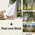 thumbnail image 4 of Peel and Stick Wallpaper Green Park fresh sunrise morning Modern Art Wall Mural Decor Self Adhesive and Removable 100in x 144in, 4 of 8