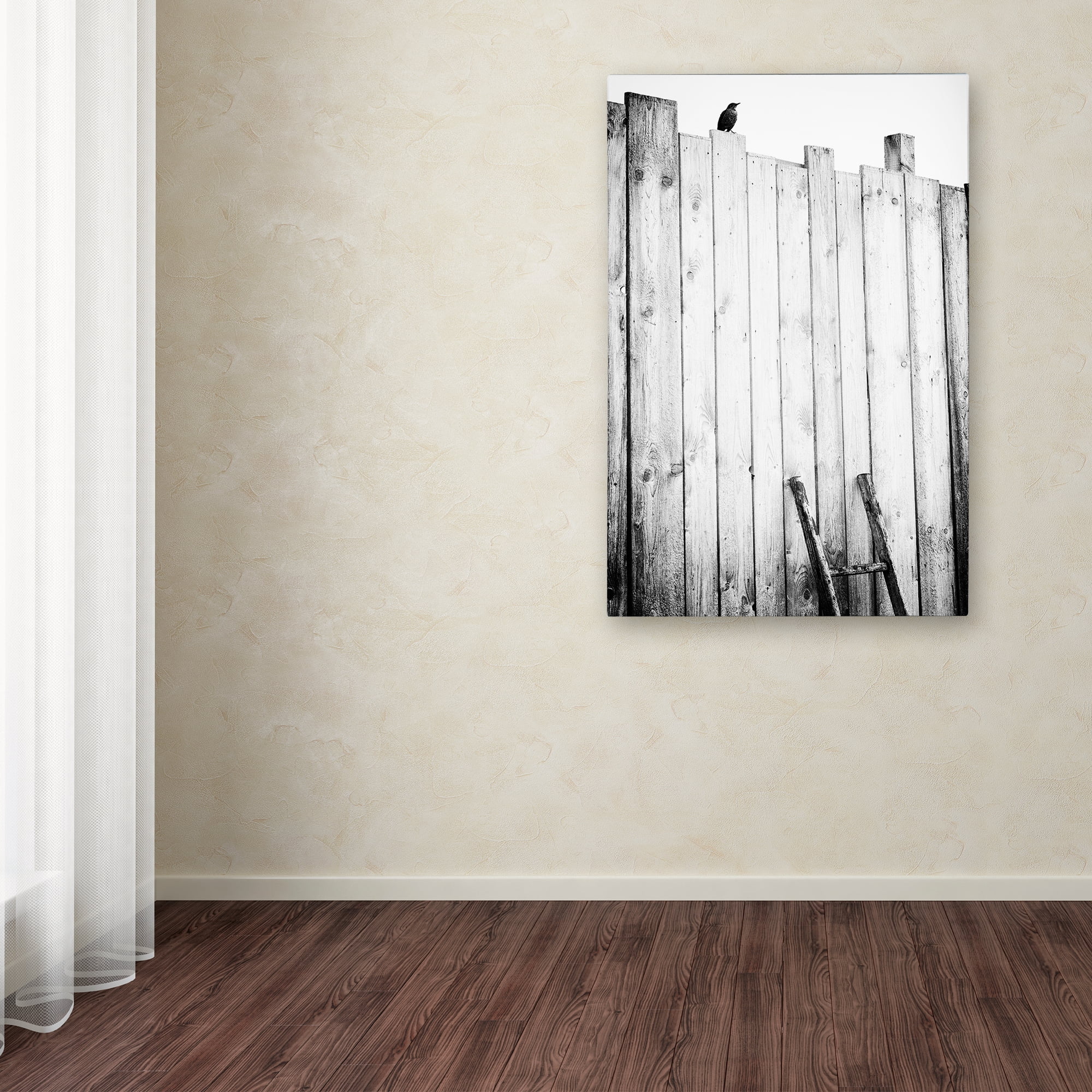 Trademark Fine Art 'Freed' Canvas Art by Jurgen Hartlieb
